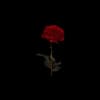 Эмодзи из набора @aestheticaemoji для Телеграм: Статические 🌹