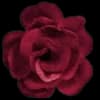 Эмодзи из набора @aestheticaemoji для Телеграм: Статические 🥀