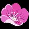 Эмодзи из набора Visit Primorye для Телеграм: Статические 🌸