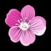 Эмодзи из набора Visit Primorye для Телеграм: Статические 🌺
