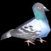 Эмодзи из набора wet floor для Телеграм: Видео, Статические 🐦