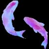 Эмодзи из набора wet floor для Телеграм: Видео, Статические 🐟