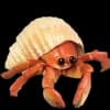 Эмодзи из набора wet floor для Телеграм: Видео, Статические 🦀