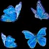 Эмодзи из набора wet floor для Телеграм: Видео, Статические 🦋