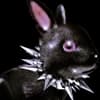 Эмодзи из набора wet floor для Телеграм: Видео, Статические 🐰