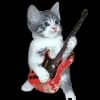 Эмодзи из набора wet floor для Телеграм: Видео, Статические 🐈