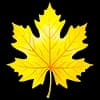 Эмодзи из набора Warm @katenergy_8 для Телеграм: Статические 🍁