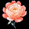 Эмодзи из набора Warm @katenergy_8 для Телеграм: Статические 🌸