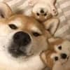 Эмодзи из набора memok :: @fStikBot для Телеграм: Статические 🌟