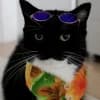 Эмодзи из набора Uni Cat by @raysceo @TgEmodziBot для Телеграм: Статические 🤩