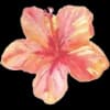 Эмодзи из набора flowers & hearts для Телеграм: Статические 🌼