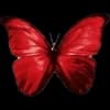 Эмодзи из набора flowers & hearts для Телеграм: Статические 🦋