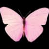 Эмодзи из набора flowers & hearts для Телеграм: Статические 🦋