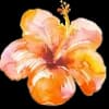 Эмодзи из набора flowers & hearts для Телеграм: Статические 🌼