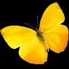 Эмодзи из набора flowers & hearts для Телеграм: Статические 🦋