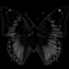 Эмодзи из набора flowers & hearts для Телеграм: Статические 🦋