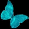 Эмодзи из набора flowers & hearts для Телеграм: Статические 🦋