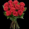 Эмодзи из набора flowers & hearts для Телеграм: Статические 🌹