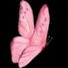 Эмодзи из набора vesna by @akateriinaa для Телеграм: Статические 🦋