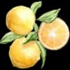 Эмодзи из набора vesna by @akateriinaa для Телеграм: Статические 🍋