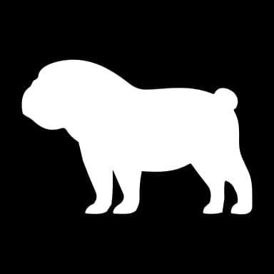 Эмодзи из набора Animals Adaptive (@NDFoundry's import) для Телеграм: Анимированные 🐶