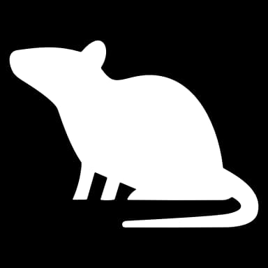 Эмодзи из набора Animals Adaptive (@NDFoundry's import) для Телеграм: Анимированные 🐀