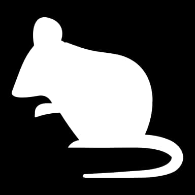 Эмодзи из набора Animals Adaptive (@NDFoundry's import) для Телеграм: Анимированные 🐁