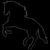 Эмодзи из набора 𝓐𝓵𝓮𝔁 𝓓𝓗 🐴 для Телеграм: Статические 🐴