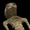 Эмодзи из набора Voices of the void для Телеграм: Статические 👽