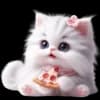 Эмодзи из набора Сладкая киса @Nyasticks для Телеграм: Статические 🍕