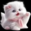 Эмодзи из набора Сладкая киса @Nyasticks для Телеграм: Статические 🐾