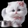 Эмодзи из набора Сладкая киса @Nyasticks для Телеграм: Статические 👩🍳