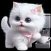 Эмодзи из набора Сладкая киса @Nyasticks для Телеграм: Статические ☕️