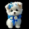 Эмодзи из набора Подарок на 8 марта от @cats_Crystal для Телеграм: Статические 🐩