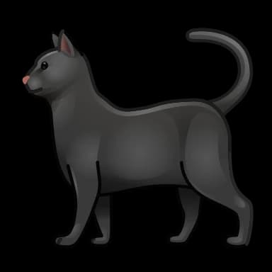 Эмодзи из набора Animated | @UNUAL для Телеграм: Анимированные 🐈⬛