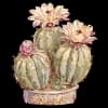 Эмодзи из набора Винтаж ➜ @emojiprem @TgEmodziBot для Телеграм: Статические 🌵