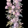 Эмодзи из набора Винтаж ➜ @emojiprem @TgEmodziBot для Телеграм: Статические 🌸