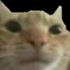 Эмодзи из набора @vivironne @SozdaiStickeriBot для Телеграм: Статические 😼