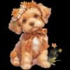 Эмодзи из набора vesna by @akateriinaa для Телеграм: Статические 🐕