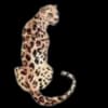 Эмодзи из набора vesna by @akateriinaa для Телеграм: Статические 🐆