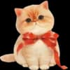 Эмодзи из набора vintage by @akateriinaa для Телеграм: Статические 🐱