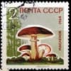Эмодзи из набора Woods | @wild_west_english для Телеграм: Статические 🤩