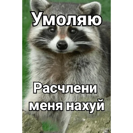 Стикер из набора _XuEtnya_ для Телеграм: Статические 😙