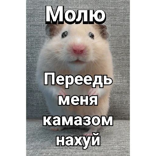 Стикер из набора _XuEtnya_ для Телеграм: Статические 😙