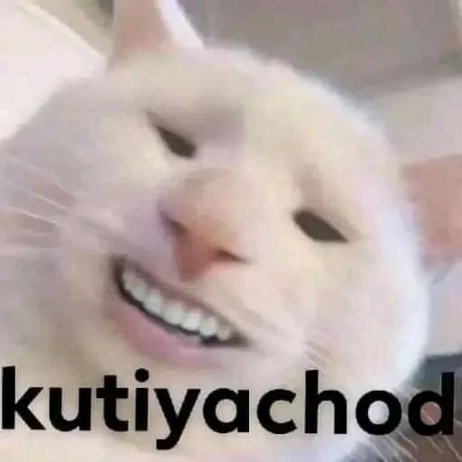 Стикер из набора @Bheem_hame_bacha_lo's_1 для Телеграм: Статические 😡