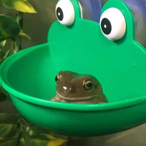 Стикер из набора Admin's smuggies для Телеграм: Статические 🐸