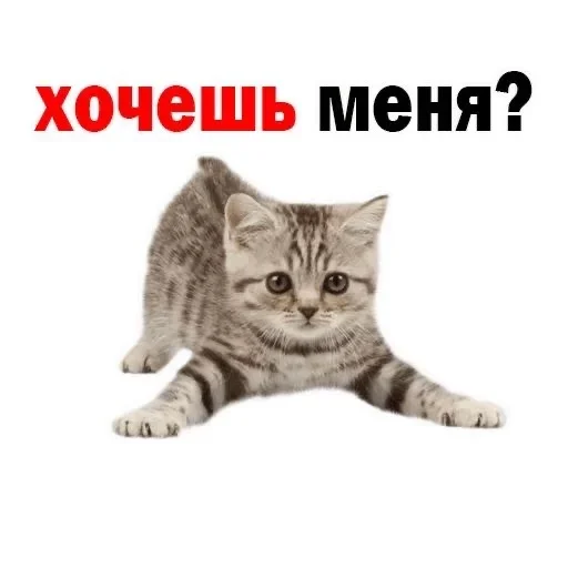 Стикер из набора Хорни :: @fStikBot для Телеграм: Статические 😜