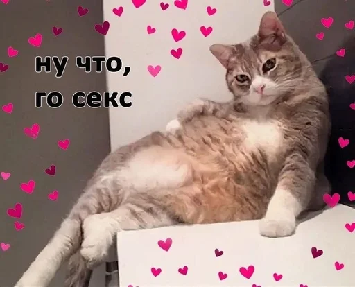Стикер из набора Хорни :: @fStikBot для Телеграм: Статические 💕
