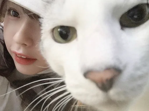 Стикер из набора DedWasta :: @fStikBot для Телеграм: Статические 🐈