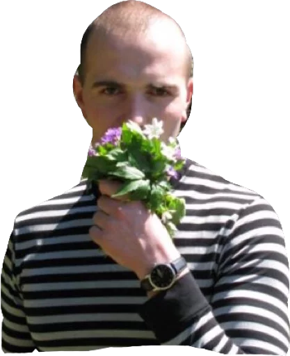 Стикер из набора Лп для Телеграм: Статические 🧝‍♂️